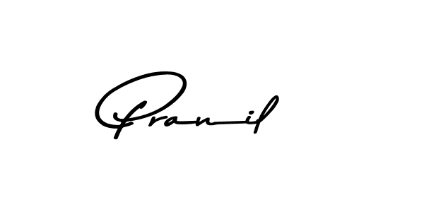 Create a beautiful signature design for name Pranil. With this signature (Asem Kandis PERSONAL USE) fonts, you can make a handwritten signature for free. Pranil signature style 9 images and pictures png