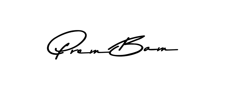 Similarly Asem Kandis PERSONAL USE is the best handwritten signature design. Signature creator online .You can use it as an online autograph creator for name Prem Bam. Prem Bam signature style 9 images and pictures png