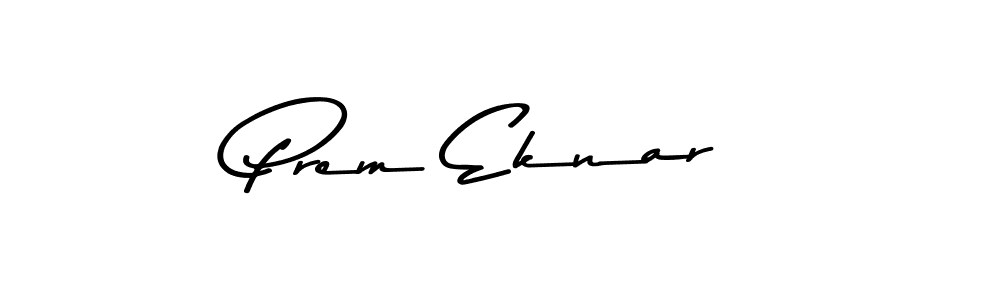 You should practise on your own different ways (Asem Kandis PERSONAL USE) to write your name (Prem Eknar) in signature. don't let someone else do it for you. Prem Eknar signature style 9 images and pictures png