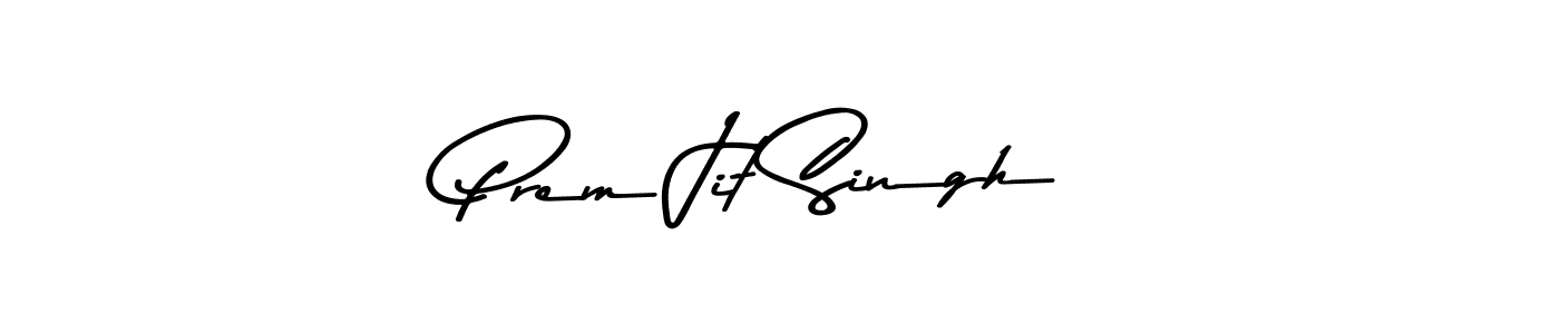 Similarly Asem Kandis PERSONAL USE is the best handwritten signature design. Signature creator online .You can use it as an online autograph creator for name Prem Jit Singh. Prem Jit Singh signature style 9 images and pictures png