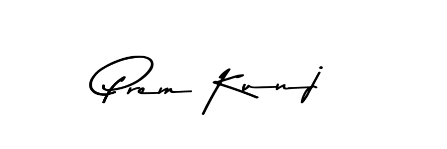 Design your own signature with our free online signature maker. With this signature software, you can create a handwritten (Asem Kandis PERSONAL USE) signature for name Prem Kunj. Prem Kunj signature style 9 images and pictures png