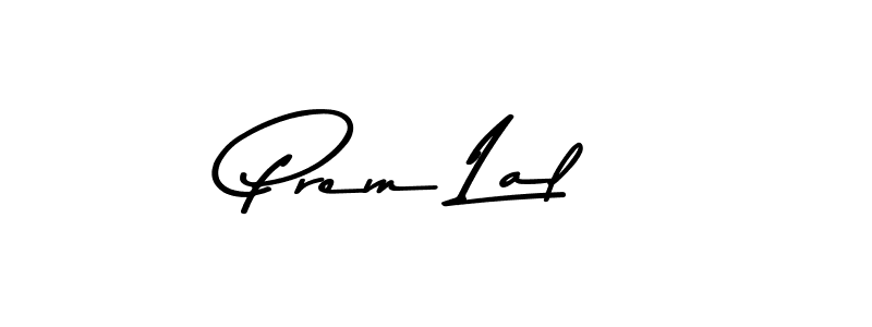 You should practise on your own different ways (Asem Kandis PERSONAL USE) to write your name (Prem Lal) in signature. don't let someone else do it for you. Prem Lal signature style 9 images and pictures png