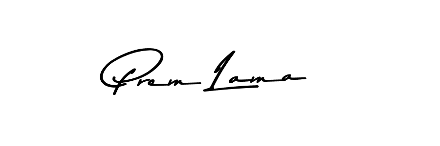 Similarly Asem Kandis PERSONAL USE is the best handwritten signature design. Signature creator online .You can use it as an online autograph creator for name Prem Lama. Prem Lama signature style 9 images and pictures png