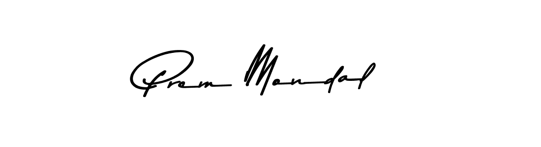You should practise on your own different ways (Asem Kandis PERSONAL USE) to write your name (Prem Mondal) in signature. don't let someone else do it for you. Prem Mondal signature style 9 images and pictures png