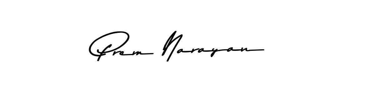 Prem Narayan stylish signature style. Best Handwritten Sign (Asem Kandis PERSONAL USE) for my name. Handwritten Signature Collection Ideas for my name Prem Narayan. Prem Narayan signature style 9 images and pictures png