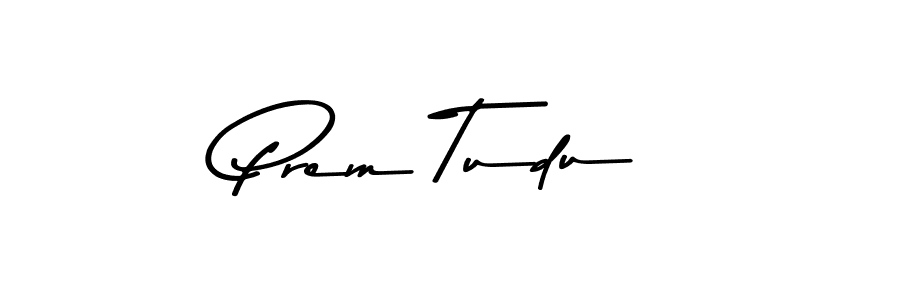 You can use this online signature creator to create a handwritten signature for the name Prem Tudu. This is the best online autograph maker. Prem Tudu signature style 9 images and pictures png