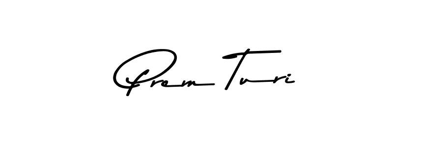 Also You can easily find your signature by using the search form. We will create Prem Turi name handwritten signature images for you free of cost using Asem Kandis PERSONAL USE sign style. Prem Turi signature style 9 images and pictures png