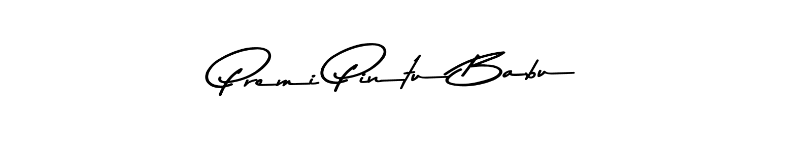 Make a beautiful signature design for name Premi Pintu Babu. Use this online signature maker to create a handwritten signature for free. Premi Pintu Babu signature style 9 images and pictures png