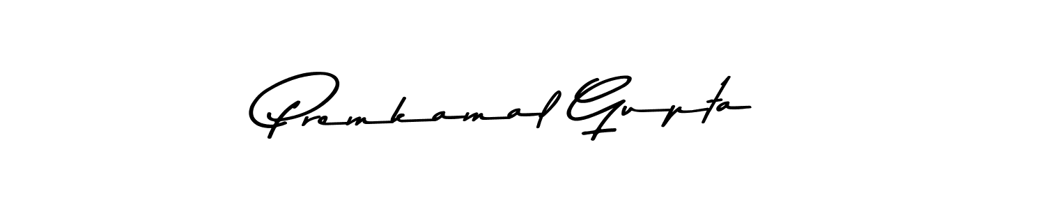 You should practise on your own different ways (Asem Kandis PERSONAL USE) to write your name (Premkamal Gupta) in signature. don't let someone else do it for you. Premkamal Gupta signature style 9 images and pictures png