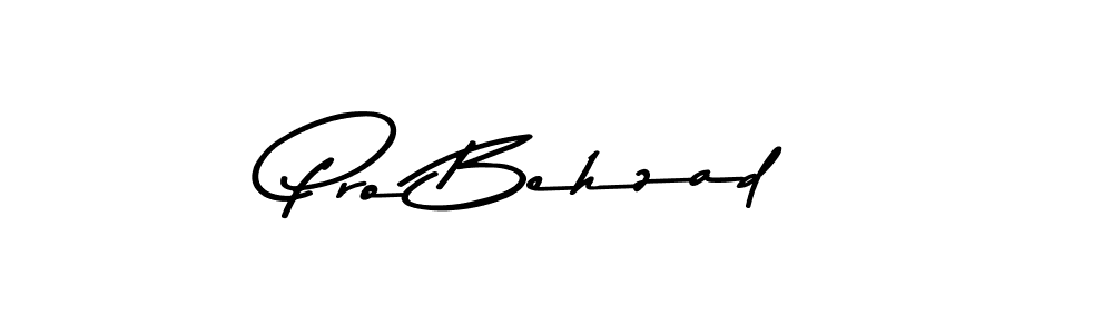 Use a signature maker to create a handwritten signature online. With this signature software, you can design (Asem Kandis PERSONAL USE) your own signature for name Pro Behzad. Pro Behzad signature style 9 images and pictures png