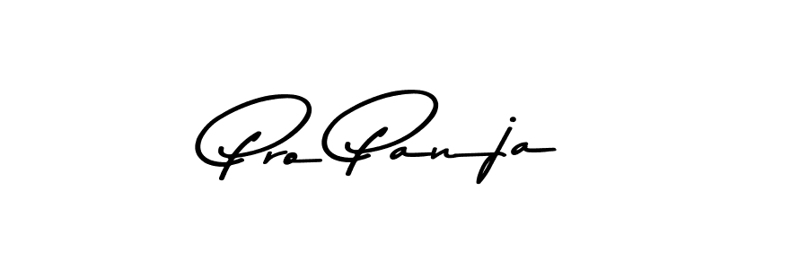 Best and Professional Signature Style for Pro Panja. Asem Kandis PERSONAL USE Best Signature Style Collection. Pro Panja signature style 9 images and pictures png