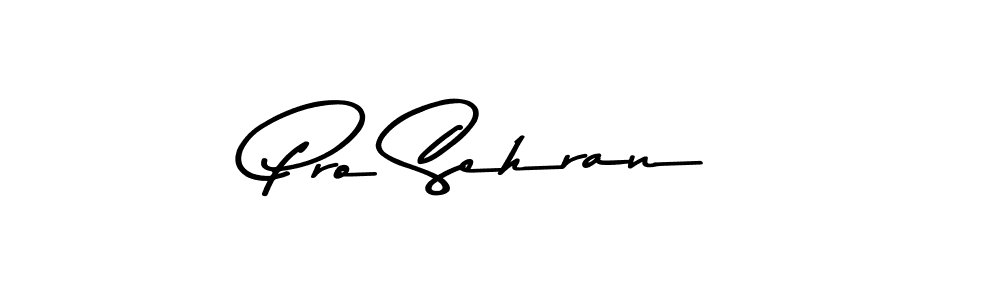 See photos of Pro Sehran official signature by Spectra . Check more albums & portfolios. Read reviews & check more about Asem Kandis PERSONAL USE font. Pro Sehran signature style 9 images and pictures png