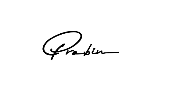 You should practise on your own different ways (Asem Kandis PERSONAL USE) to write your name (Probin) in signature. don't let someone else do it for you. Probin signature style 9 images and pictures png