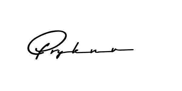 You should practise on your own different ways (Asem Kandis PERSONAL USE) to write your name (Pryknu) in signature. don't let someone else do it for you. Pryknu signature style 9 images and pictures png