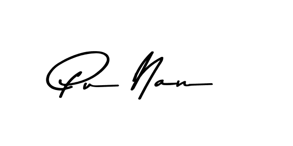 You should practise on your own different ways (Asem Kandis PERSONAL USE) to write your name (Pu Nan) in signature. don't let someone else do it for you. Pu Nan signature style 9 images and pictures png