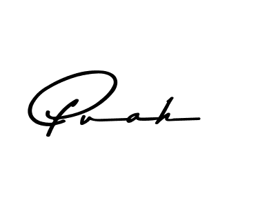 Here are the top 10 professional signature styles for the name Puah. These are the best autograph styles you can use for your name. Puah signature style 9 images and pictures png