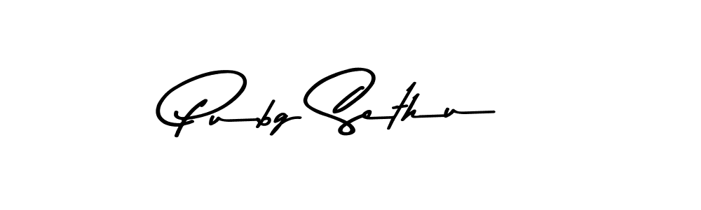 Here are the top 10 professional signature styles for the name Pubg Sethu. These are the best autograph styles you can use for your name. Pubg Sethu signature style 9 images and pictures png