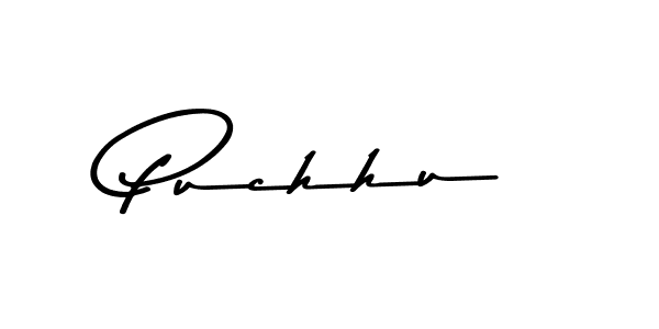 Here are the top 10 professional signature styles for the name Puchhu. These are the best autograph styles you can use for your name. Puchhu signature style 9 images and pictures png