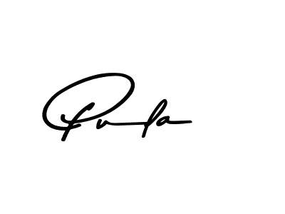 How to make Pula name signature. Use Asem Kandis PERSONAL USE style for creating short signs online. This is the latest handwritten sign. Pula signature style 9 images and pictures png