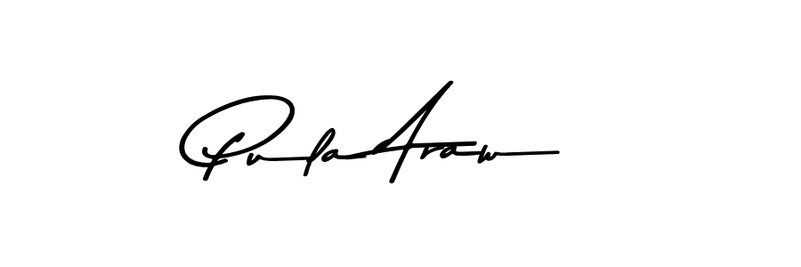 Make a beautiful signature design for name Pula Araw. Use this online signature maker to create a handwritten signature for free. Pula Araw signature style 9 images and pictures png