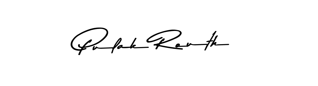 Similarly Asem Kandis PERSONAL USE is the best handwritten signature design. Signature creator online .You can use it as an online autograph creator for name Pulak Routh. Pulak Routh signature style 9 images and pictures png