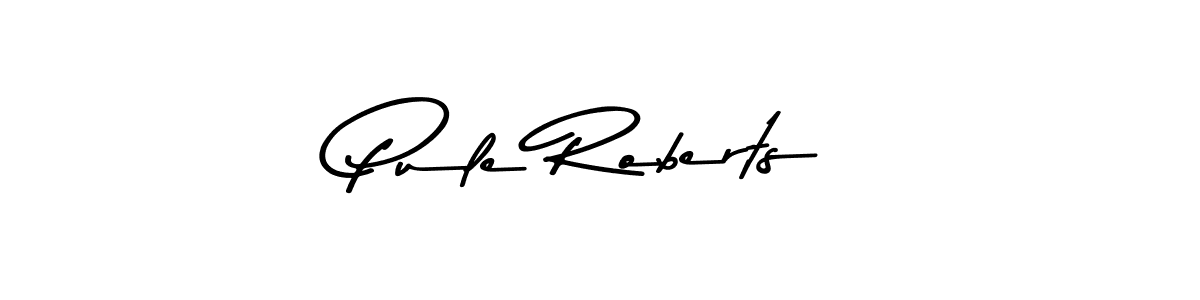 Best and Professional Signature Style for Pule Roberts. Asem Kandis PERSONAL USE Best Signature Style Collection. Pule Roberts signature style 9 images and pictures png