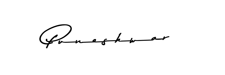 if you are searching for the best signature style for your name Puneshwar. so please give up your signature search. here we have designed multiple signature styles  using Asem Kandis PERSONAL USE. Puneshwar signature style 9 images and pictures png