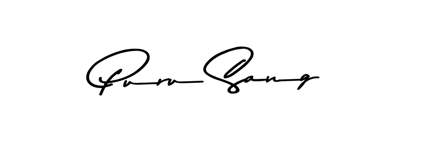 The best way (Asem Kandis PERSONAL USE) to make a short signature is to pick only two or three words in your name. The name Puru Sang include a total of six letters. For converting this name. Puru Sang signature style 9 images and pictures png