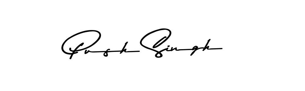 Push Singh stylish signature style. Best Handwritten Sign (Asem Kandis PERSONAL USE) for my name. Handwritten Signature Collection Ideas for my name Push Singh. Push Singh signature style 9 images and pictures png