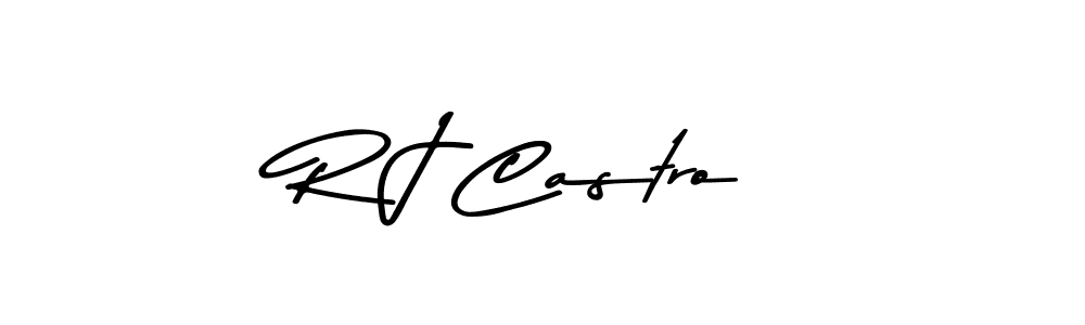 You should practise on your own different ways (Asem Kandis PERSONAL USE) to write your name (R J Castro) in signature. don't let someone else do it for you. R J Castro signature style 9 images and pictures png