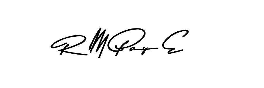 The best way (Asem Kandis PERSONAL USE) to make a short signature is to pick only two or three words in your name. The name R M Pay E include a total of six letters. For converting this name. R M Pay E signature style 9 images and pictures png