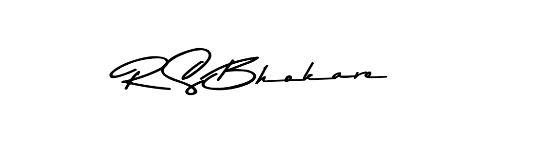 Make a beautiful signature design for name R S Bhokare. Use this online signature maker to create a handwritten signature for free. R S Bhokare signature style 9 images and pictures png