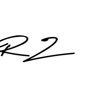 How to make R Z signature? Asem Kandis PERSONAL USE is a professional autograph style. Create handwritten signature for R Z name. R Z signature style 9 images and pictures png