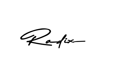 Here are the top 10 professional signature styles for the name Radix. These are the best autograph styles you can use for your name. Radix signature style 9 images and pictures png