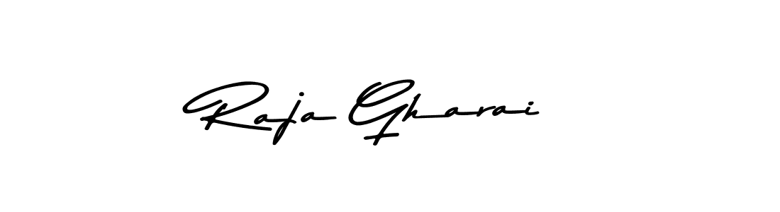 You should practise on your own different ways (Asem Kandis PERSONAL USE) to write your name (Raja Gharai) in signature. don't let someone else do it for you. Raja Gharai signature style 9 images and pictures png