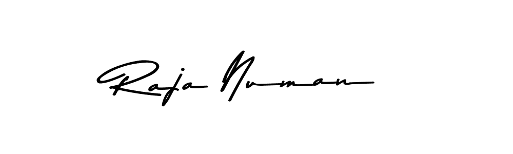The best way (Asem Kandis PERSONAL USE) to make a short signature is to pick only two or three words in your name. The name Raja Numan include a total of six letters. For converting this name. Raja Numan signature style 9 images and pictures png