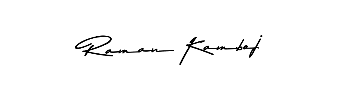 You should practise on your own different ways (Asem Kandis PERSONAL USE) to write your name (Raman Kamboj) in signature. don't let someone else do it for you. Raman Kamboj signature style 9 images and pictures png