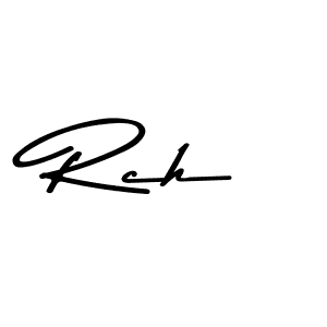 You should practise on your own different ways (Asem Kandis PERSONAL USE) to write your name (Rch) in signature. don't let someone else do it for you. Rch signature style 9 images and pictures png