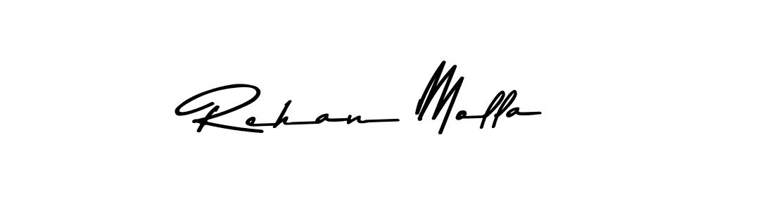 You should practise on your own different ways (Asem Kandis PERSONAL USE) to write your name (Rehan Molla) in signature. don't let someone else do it for you. Rehan Molla signature style 9 images and pictures png