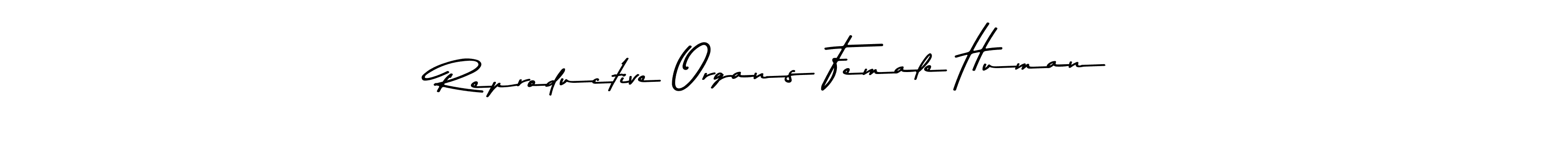 Design your own signature with our free online signature maker. With this signature software, you can create a handwritten (Asem Kandis PERSONAL USE) signature for name Reproductive Organs Female Human. Reproductive Organs Female Human signature style 9 images and pictures png
