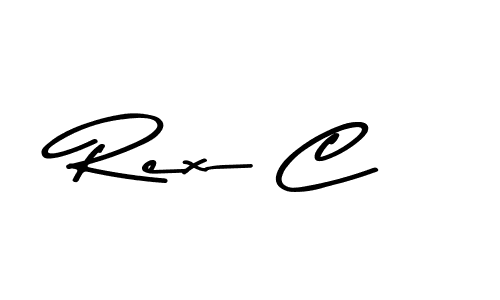 You should practise on your own different ways (Asem Kandis PERSONAL USE) to write your name (Rex C) in signature. don't let someone else do it for you. Rex C signature style 9 images and pictures png