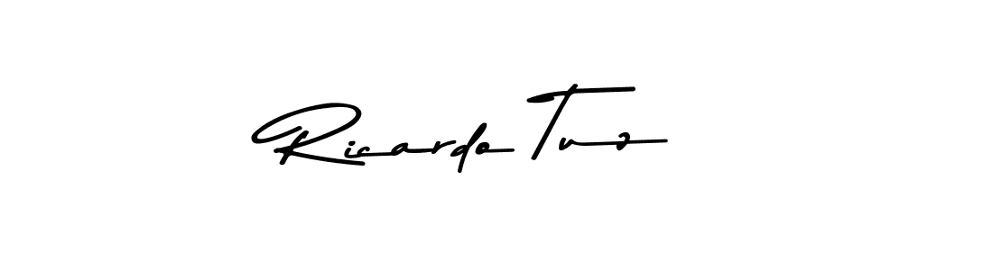 Create a beautiful signature design for name Ricardo Tuz. With this signature (Asem Kandis PERSONAL USE) fonts, you can make a handwritten signature for free. Ricardo Tuz signature style 9 images and pictures png