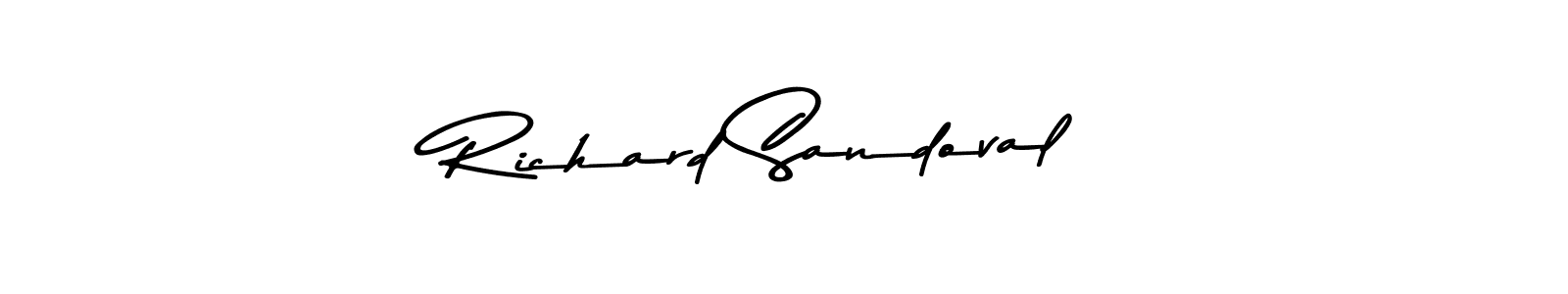 Similarly Asem Kandis PERSONAL USE is the best handwritten signature design. Signature creator online .You can use it as an online autograph creator for name Richard Sandoval. Richard Sandoval signature style 9 images and pictures png