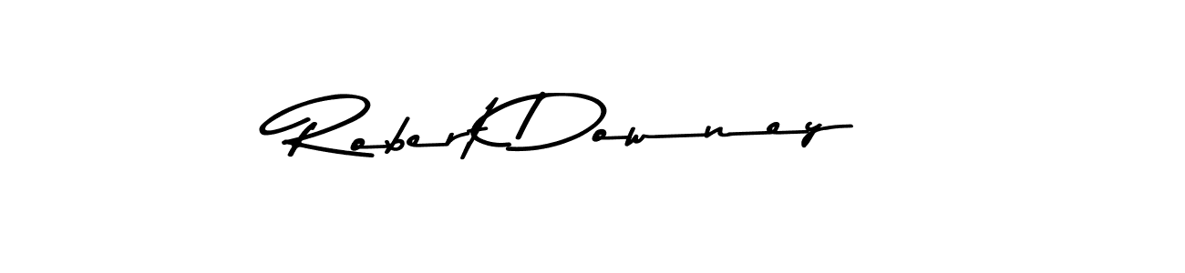 You should practise on your own different ways (Asem Kandis PERSONAL USE) to write your name (Robert Downey) in signature. don't let someone else do it for you. Robert Downey signature style 9 images and pictures png