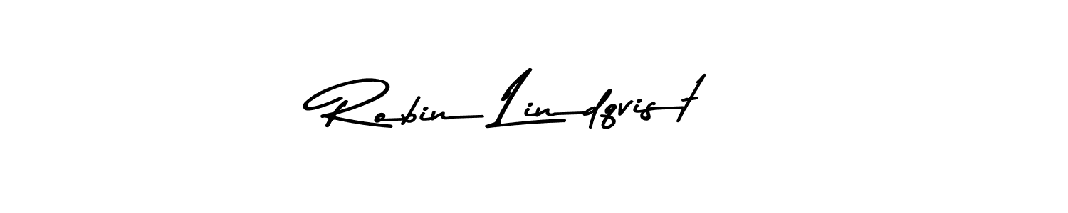 Make a beautiful signature design for name Robin Lindqvist. Use this online signature maker to create a handwritten signature for free. Robin Lindqvist signature style 9 images and pictures png