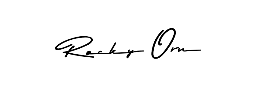 You should practise on your own different ways (Asem Kandis PERSONAL USE) to write your name (Rocky Orn) in signature. don't let someone else do it for you. Rocky Orn signature style 9 images and pictures png