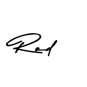 You should practise on your own different ways (Asem Kandis PERSONAL USE) to write your name (Rod) in signature. don't let someone else do it for you. Rod signature style 9 images and pictures png
