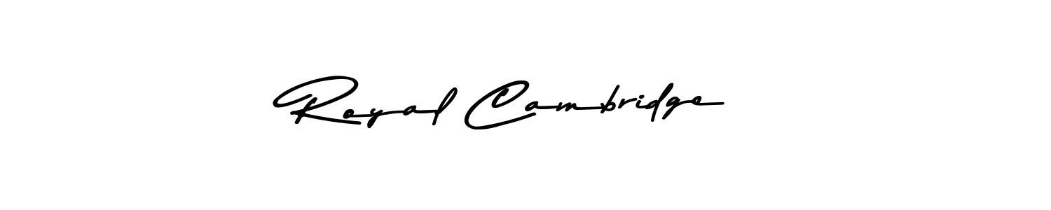 See photos of Royal Cambridge official signature by Spectra . Check more albums & portfolios. Read reviews & check more about Asem Kandis PERSONAL USE font. Royal Cambridge signature style 9 images and pictures png