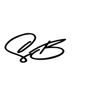 Here are the top 10 professional signature styles for the name S B. These are the best autograph styles you can use for your name. S B signature style 9 images and pictures png