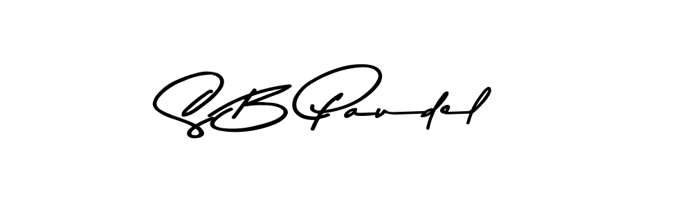 Make a beautiful signature design for name S B Paudel. Use this online signature maker to create a handwritten signature for free. S B Paudel signature style 9 images and pictures png